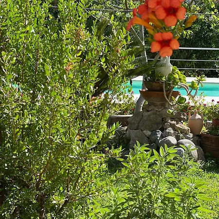 Bed and breakfast Vida Locrese Con Piscina Salata Gerace