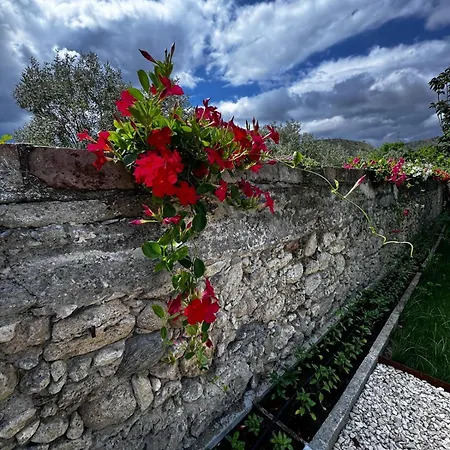 Bed & Breakfast Vida Locrese Con Piscina Salata