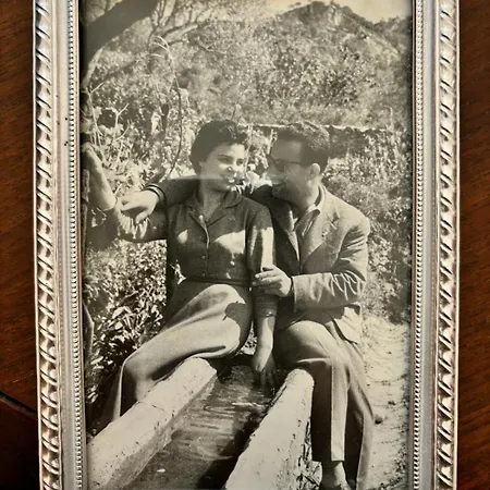 Bed and breakfast Vida Locrese Con Piscina Salata Gerace