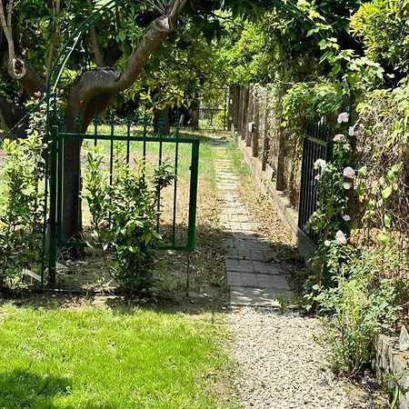 Vida Locrese Con Piscina Salata