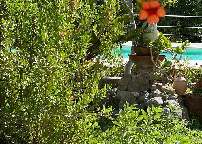 住宿加早餐酒店 Vida Locrese Con Piscina Salata 杰拉切