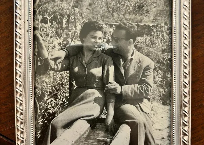 住宿加早餐酒店 Vida Locrese Con Piscina Salata 杰拉切