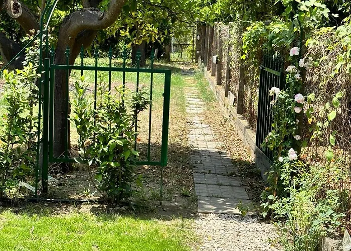 Vida Locrese Con Piscina Salata